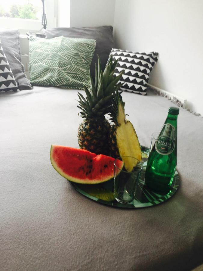 Apartament Kamienica Legionów *